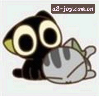 赵姐